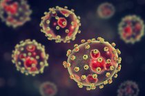 Частицы вируса Ласса, цифровая иллюстрация
. — стоковое фото