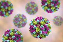 Partículas de norovirus coloreadas, ilustración digital
. - foto de stock