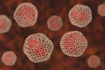 Partículas del virus de la fiebre del Valle del Rift, ilustración digital . - foto de stock