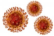 Partículas del virus Nipah, ilustraciones digitales
. - foto de stock