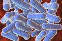 Colored rod-shaped Morganella bacteria, digital illustration. — Stock Photo