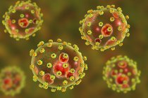 Частицы вируса Ласса, цифровая иллюстрация . — стоковое фото