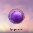Lymphozyten weiße Blutkörperchen, digitale Illustration. — Stockfoto