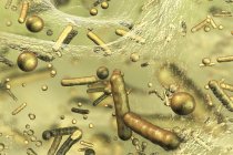 Сферичний та паличковидні бактерії всередині біоплівки, цифрова ілюстрація. — стокове фото