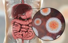 Obra digital de silueta con hígado y primer plano de las partículas del virus de la hepatitis C . - foto de stock