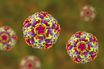Farbige Rhinovirus-Partikel, digitale Illustration. — Stockfoto