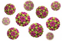 Цветные частицы норовируса, цифровая иллюстрация
. — стоковое фото