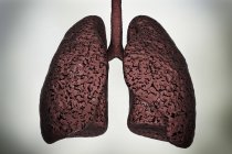 Silueta de pulmones de fumador poco saludables, ilustración digital . - foto de stock