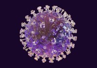 Partícula del virus Nipah, ilustraciones digitales . - foto de stock