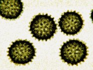 Particules du virus de l'hépatite C, illustration numérique . — Photo de stock