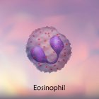 Eosinophile weiße Blutkörperchen, digitale Illustration. — Stockfoto