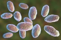 Цифровой рисунок цветных палочковидных энтероколитических бактерий Ерсинии . — стоковое фото