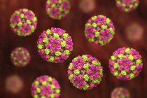 Particules de norovirus colorées, illustration numérique
. — Photo de stock