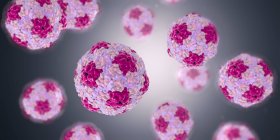 Particules colorées du virus de l'hépatite A, illustration numérique
. — Photo de stock