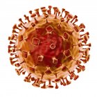 Частицы вируса Нипы, цифровые произведения искусства
. — стоковое фото