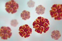 Partículas rojas del virus de la hepatitis E con capa de proteína . - foto de stock