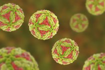 Particules du virus de l'encéphalite japonaise, illustration numérique
. — Photo de stock