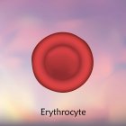 Еритроцит червона кров'яна клітина, цифрова ілюстрація . — стокове фото