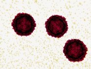 Particules de virus poliomyélitique, illustration numérique . — Photo de stock
