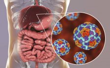 Цифрова ілюстрація печінки та крупним планом гепатиту Частинки вірусу . — стокове фото