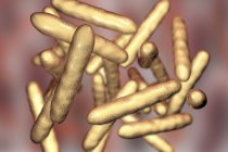 Віппл хвороба бактерії Tropheryma whipplei, цифрова ілюстрація. — стокове фото