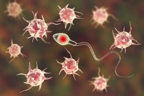 Паразити, які атакують сперми клітинку, концептуальні ілюстрації. — стокове фото