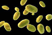 Цифрове мистецтво кольорових бактерій у формі стрижня Yersinia entocolitica . — стокове фото