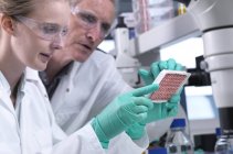 Científicos preparando placa multipocillo con muestras de sangre para análisis y análisis
. - foto de stock