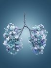 Spring flowers representing healthy human lungs, conceptual studio shot. — Stock Photo