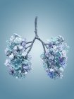 Fiori primaverili che rappresentano polmoni umani sani, studio concettuale girato . — Foto stock
