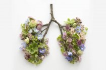 Flores de primavera que representan pulmones humanos sanos, plano conceptual del estudio . - foto de stock