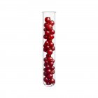 Red currant berries in test tube, studio shot. — Stock Photo