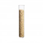 Rice in test tube, studio shot. — Stock Photo