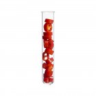 Red chili pepper in test tube, studio shot. — Stock Photo