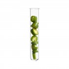 Grüne Chilischote im Reagenzglas, Studioaufnahme. — Stockfoto