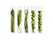 Verduras verdes en tubos de ensayo, plano de estudio . - foto de stock