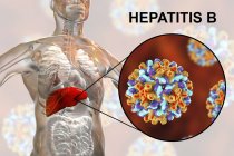 Ilustración digital de la silueta con inflamación hepática y primer plano del virus de la hepatitis B
. - foto de stock