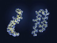 Cambios estructurales de la proteína amiloide, modelos moleculares . - foto de stock