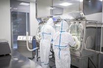 Техніків працюють з glovebox у закритому і стерильні біомедичних лабораторії. — стокове фото