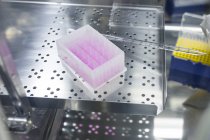 Комплект тестування на основі клітин в біоінженерній лабораторії . — стокове фото