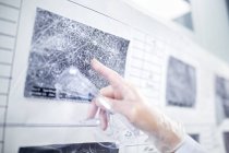 Scientist pointing at scanning electron micrographs of different nanofibre structures. — Stock Photo
