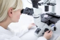 Científico examinando células cultivadas bajo microscopio
. - foto de stock