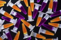 Tubos PCR con muestras de color naranja y púrpura sobre fondo negro . - foto de stock