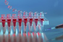 Muestras de sangre en tubos PCR
. - foto de stock