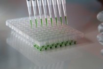 Close-up de pipeta multicanal com líquido verde em placa multiwell em laboratório . — Fotografia de Stock