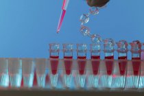 Close-up of pipetting sample into microcentrifuge tubes. — Stock Photo