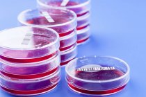 Close-up of bar-coded agar plates for biological research. — Stock Photo