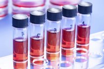 Tubes à essai numérotés avec liquide rouge pour la recherche biologique . — Photo de stock