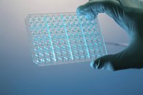 Gros plan de la main scientifique tenant la plaque multipuits PCR
. — Photo de stock