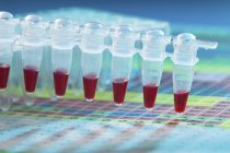 Muestras de sangre en tira de tubo microcentrifugadora para análisis genéticos
. - foto de stock